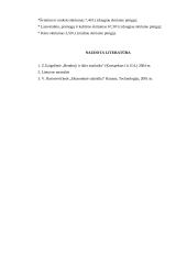 Statistinis tyrimas: namų ūkio išlaidos 11 puslapis