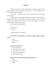 Statistinis tyrimas: viešųjų maitinimo įmonių situacija Klaipėdos regione 3 puslapis