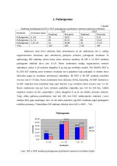 Studentų pažangumo priklausomybė nuo lankomumo ir laiko skirto savarankiškam darbui 4 puslapis