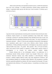 Tiriamasis darbas: balsavimas internetu 11 puslapis