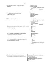 Tiriamasis darbas: balsavimas internetu 17 puslapis