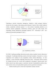 Tiriamasis darbas: balsavimas internetu 6 puslapis