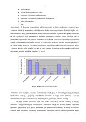 Tiriamasis darbas: balsavimas internetu 7 puslapis