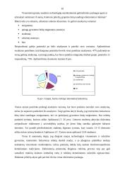 Tiriamasis darbas: balsavimas internetu 10 puslapis