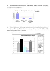 Tyrimas: jaunimo emigracija 13 puslapis
