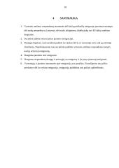 Tyrimas: jaunimo emigracija 17 puslapis