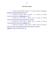 Tyrimas: jaunimo emigracija 19 puslapis