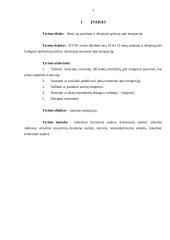 Tyrimas: jaunimo emigracija 2 puslapis