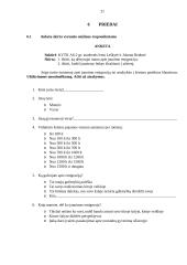 Tyrimas: jaunimo emigracija 20 puslapis