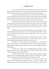 Tyrimas: jaunimo emigracija 4 puslapis