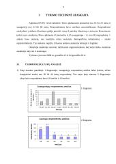 Tyrimas: jaunimo emigracija 8 puslapis