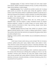 Vartotojo pasirinkimas pirkti 11 puslapis