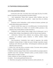 Vartotojo pasirinkimas pirkti 17 puslapis