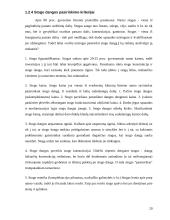 Vartotojo pasirinkimas pirkti 20 puslapis