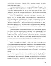 Vartotojo pasirinkimas pirkti 6 puslapis