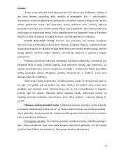 Vartotojo pasirinkimas pirkti 10 puslapis