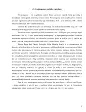 Visuomenės nuomonė apie dirbtinį apvaisinimą 6 puslapis