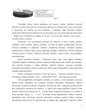 Visuomenės nuomonė apie dirbtinį apvaisinimą 7 puslapis