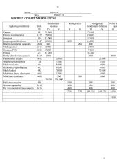 Apskaitos pagrindų modulio individualus namų darbai 11 puslapis