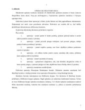 Apskaitos pagrindų modulio individualus namų darbai 4 puslapis