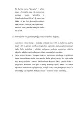 Matematinė ekskursija po Kuršių Neriją 7 puslapis