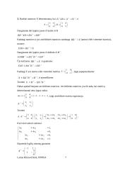 Matricinės lygtys 7 puslapis