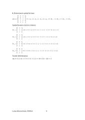 Matricinės lygtys 9 puslapis