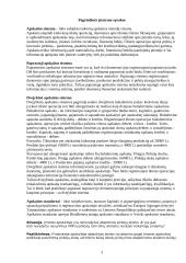 Apskaitos politikos pagrindiniai straipsniai 3 puslapis