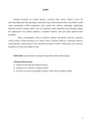 Individualios veiklos planavimo galimybės 3 puslapis