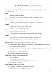 Individualios veiklos planavimo galimybės 4 puslapis