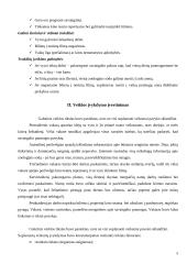 Individualios veiklos planavimo galimybės 5 puslapis