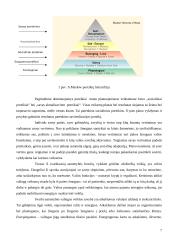 Individualios veiklos planavimo galimybės 7 puslapis