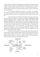 Individualios veiklos planavimo galimybės 8 puslapis