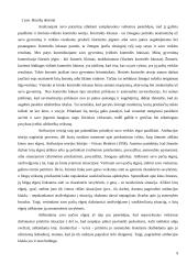 Individualios veiklos planavimo galimybės 9 puslapis