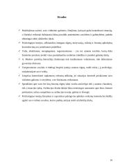 Individualios veiklos planavimo galimybės 10 puslapis