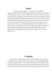 Niujorko Dvyniai 2 puslapis