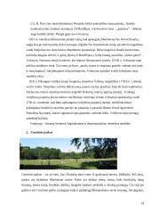 Niujorko Dvyniai 14 puslapis