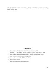 Niujorko Dvyniai 18 puslapis