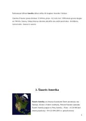 Niujorko Dvyniai 4 puslapis