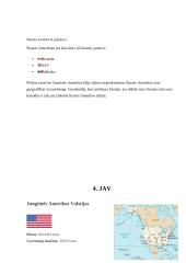 Niujorko Dvyniai 5 puslapis