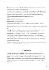 Niujorko Dvyniai 6 puslapis