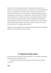 Niujorko Dvyniai 7 puslapis