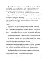 Niujorko Dvyniai 8 puslapis