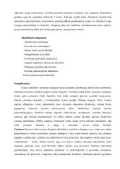 Alkoholizmas. Priežastys ir gydymas 2 puslapis