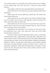 Antropologijos istorija 19 puslapis