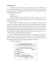 Asmenybės struktūra ir raida 5 puslapis