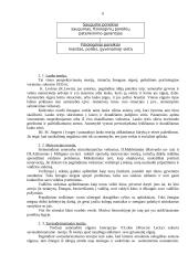 Asmenybės struktūra ir raida 6 puslapis