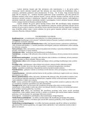 Baudžiamoji teisė ir baudžiamasis įstatymas 11 puslapis