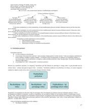 Išsami teorija baudžiamosios teisės egzaminui 17 puslapis