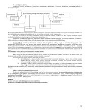 Išsami teorija baudžiamosios teisės egzaminui 18 puslapis